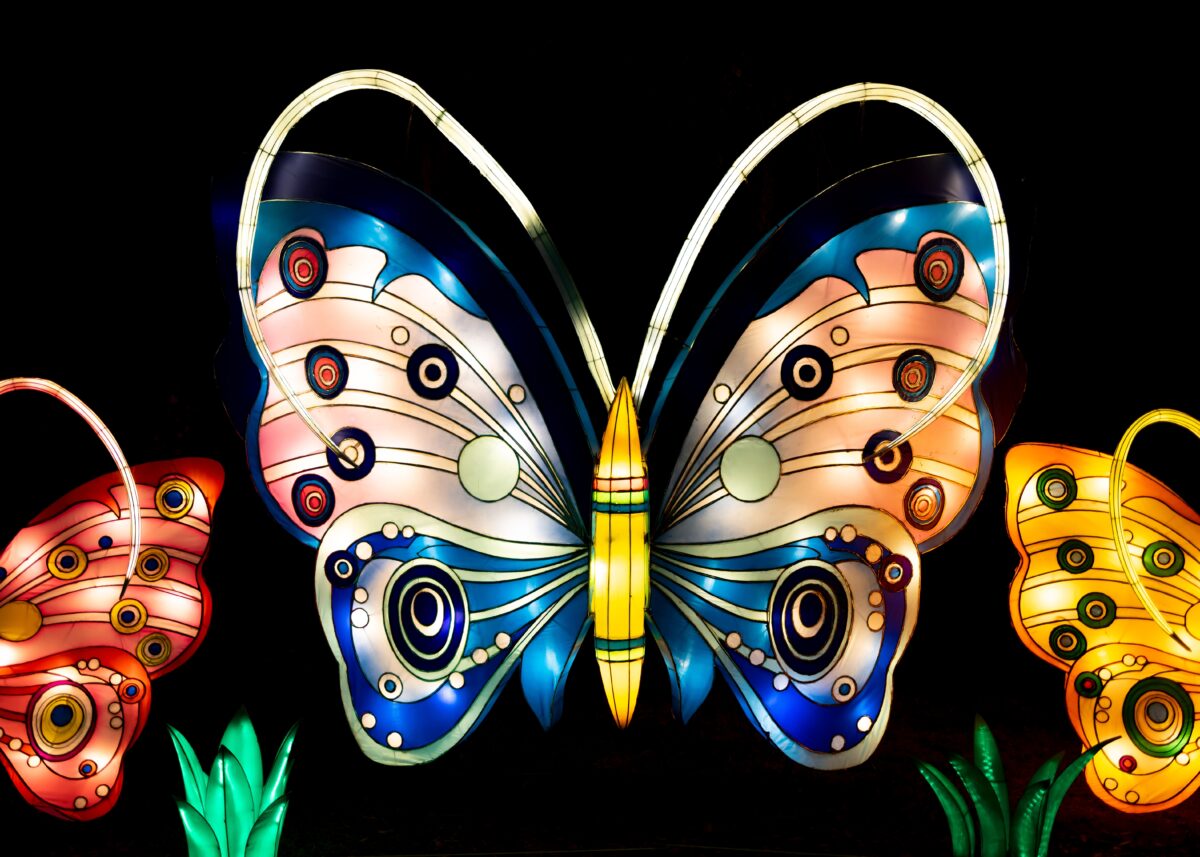 Butterfly lantern at a giant lantern festival