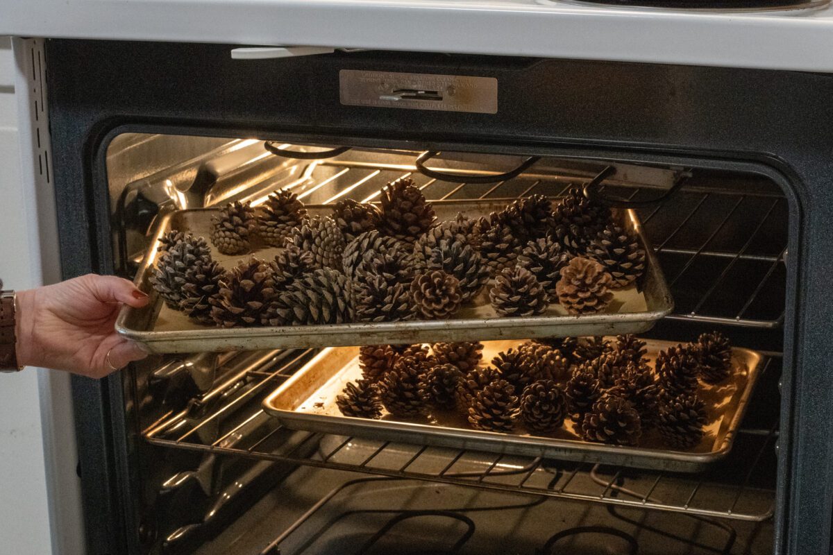 Woman's hand putting a baking tray with pine cones into the oven. 