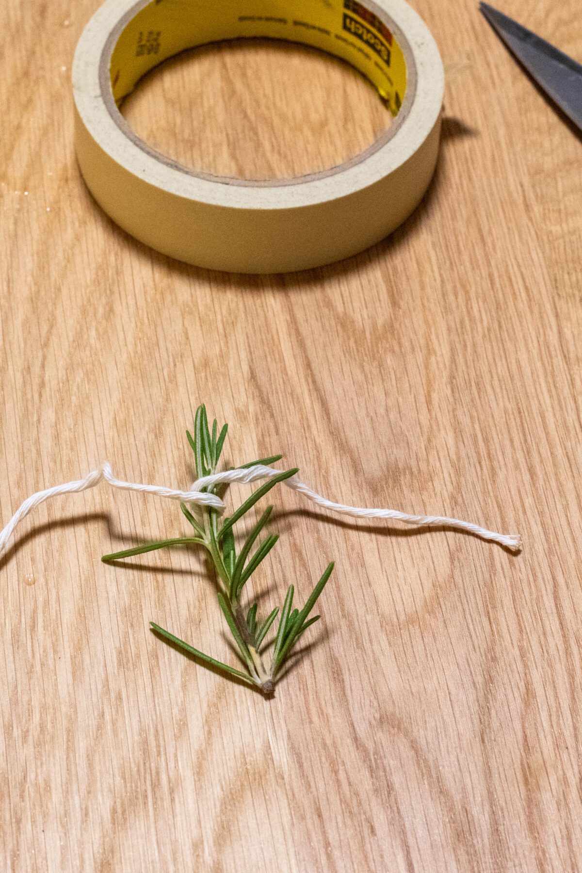 Rosemary sprig wrapped with twine