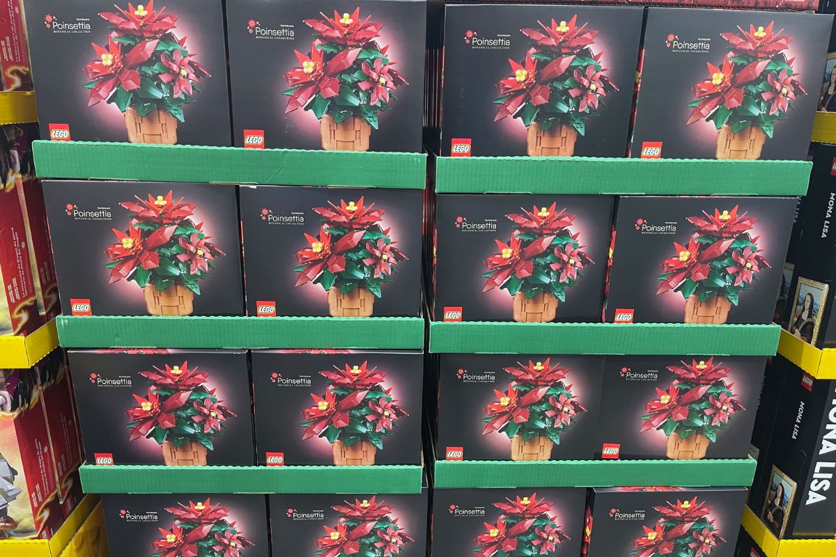 Costco Poinsettia Display