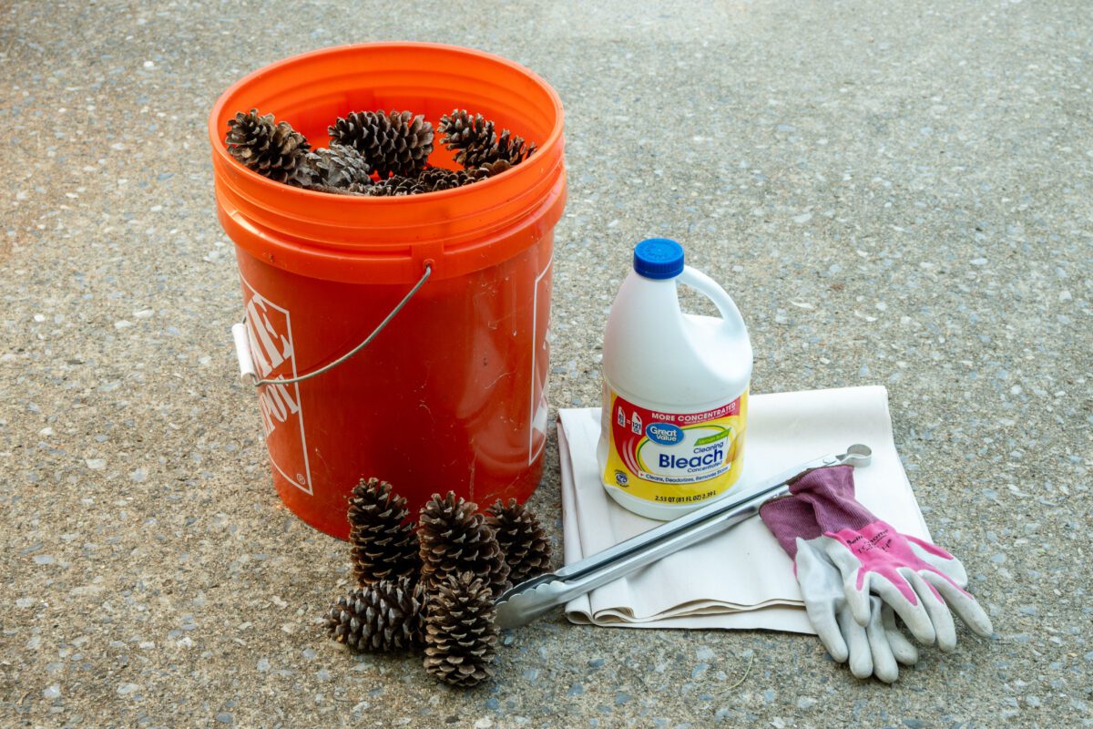 Orange bucket filled with pinecones beside bleach, gloves, and tongs on concrete.