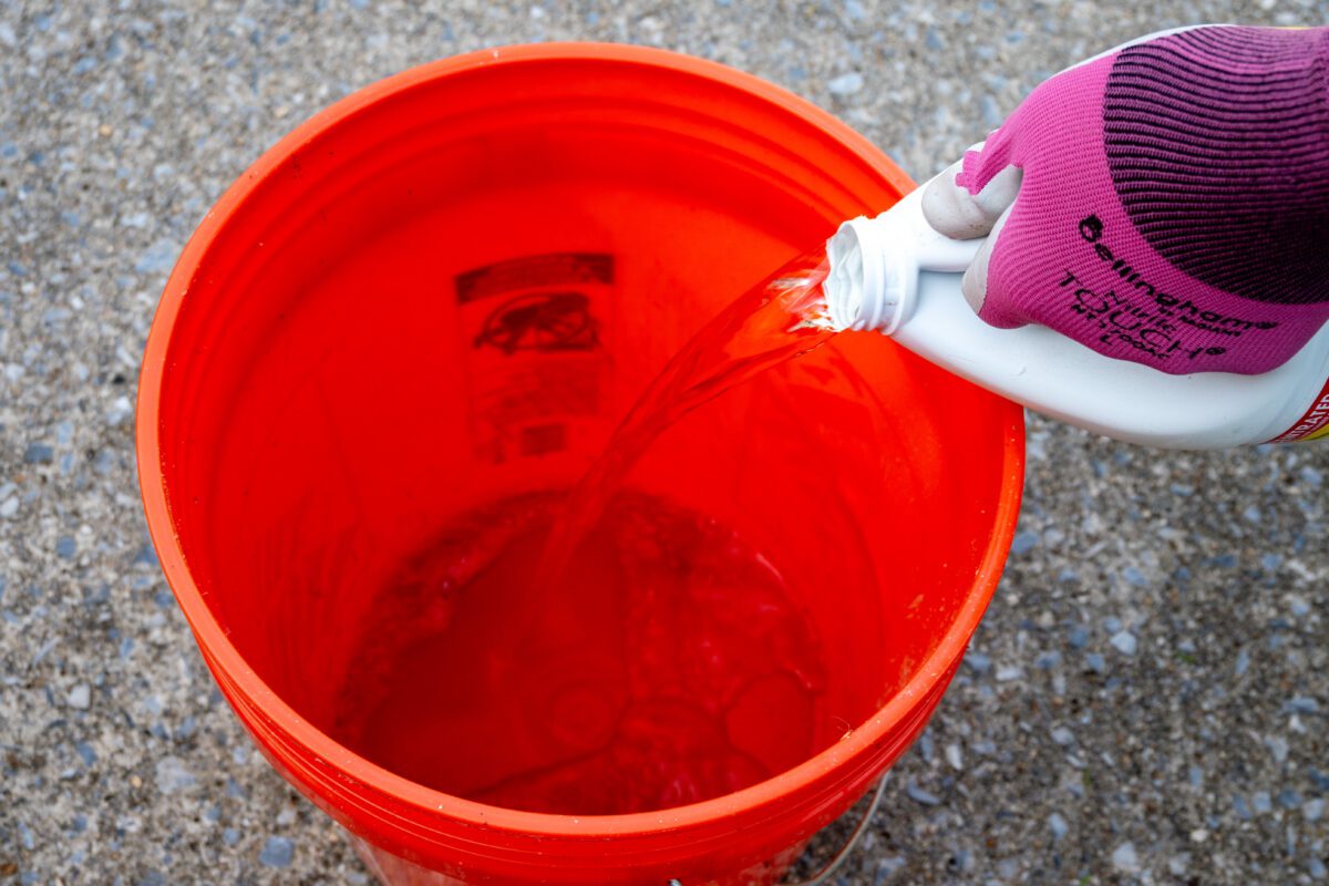 Gloved hand pouring bleach into an orange bucket filled with water.