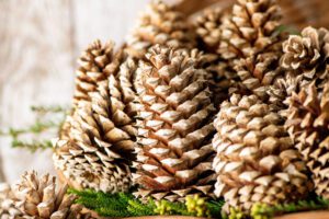 Close-up of bleached pinecones in a wicker basket with greenery decoration.