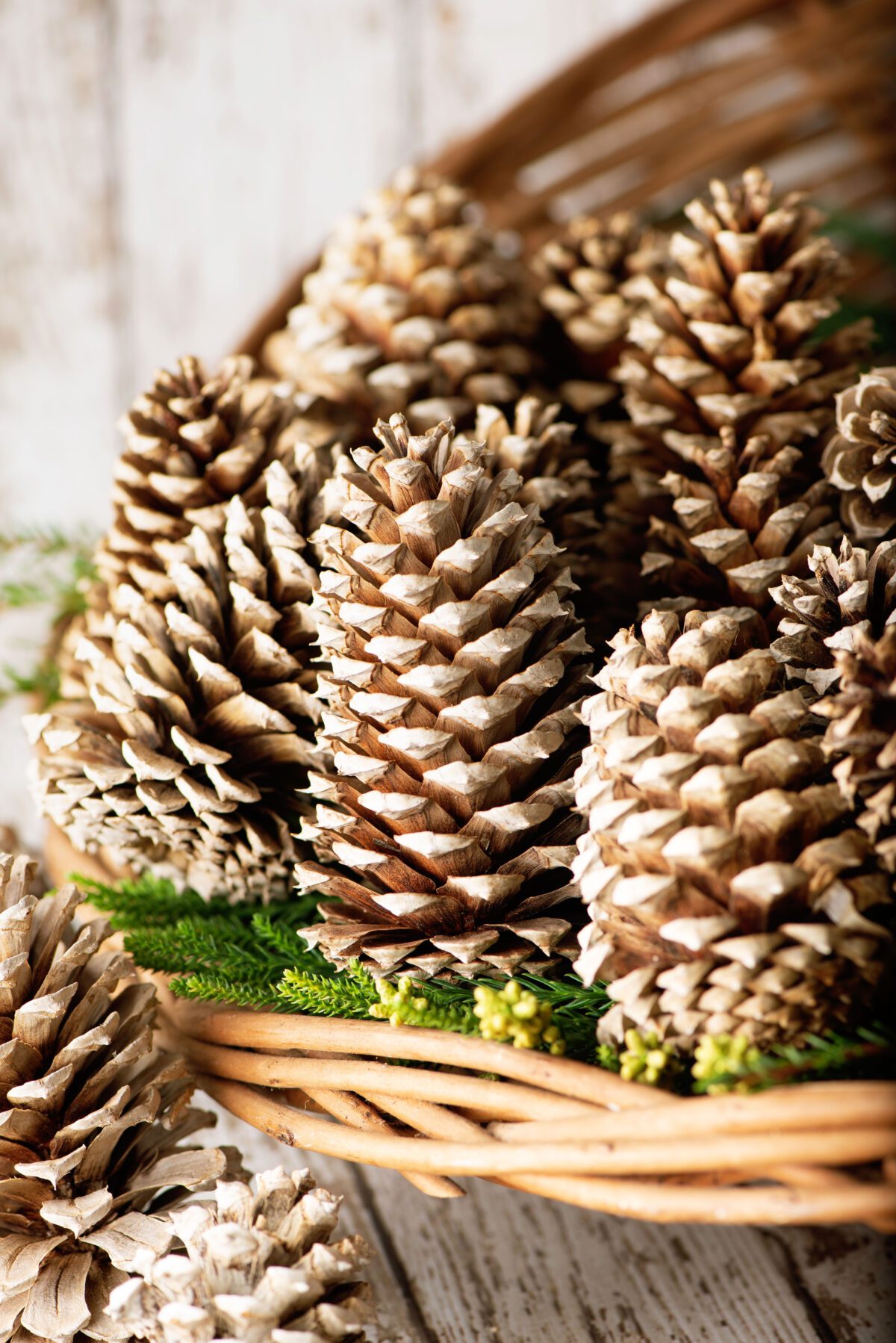 Close-up of bleached pinecones in a wicker basket with greenery decoration