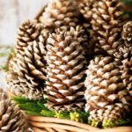 Close-up of bleached pinecones in a wicker basket with greenery decoration