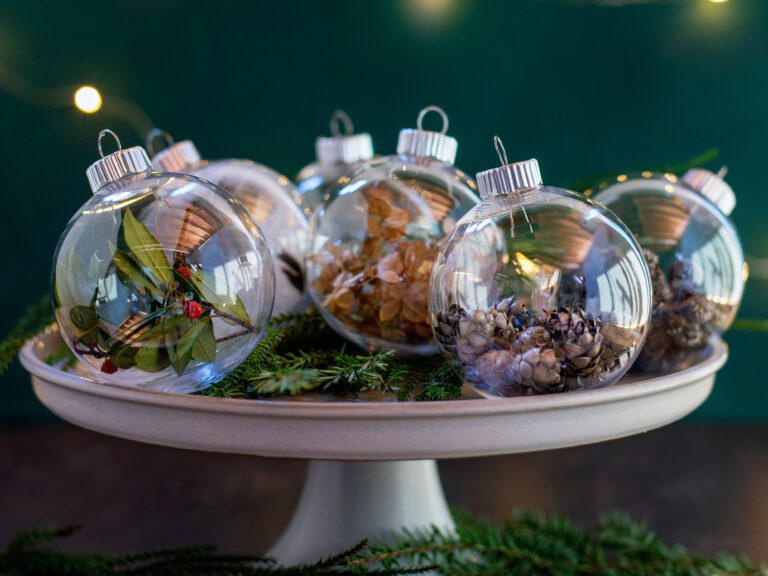 Assorted clear baubles with natural fillings displayed on a plate with greenery.