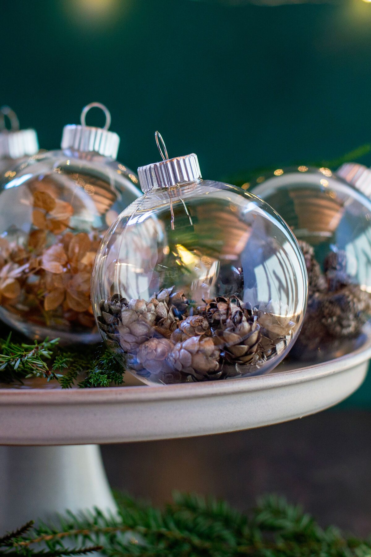 Assorted clear baubles with natural fillings displayed on a plate with greenery.