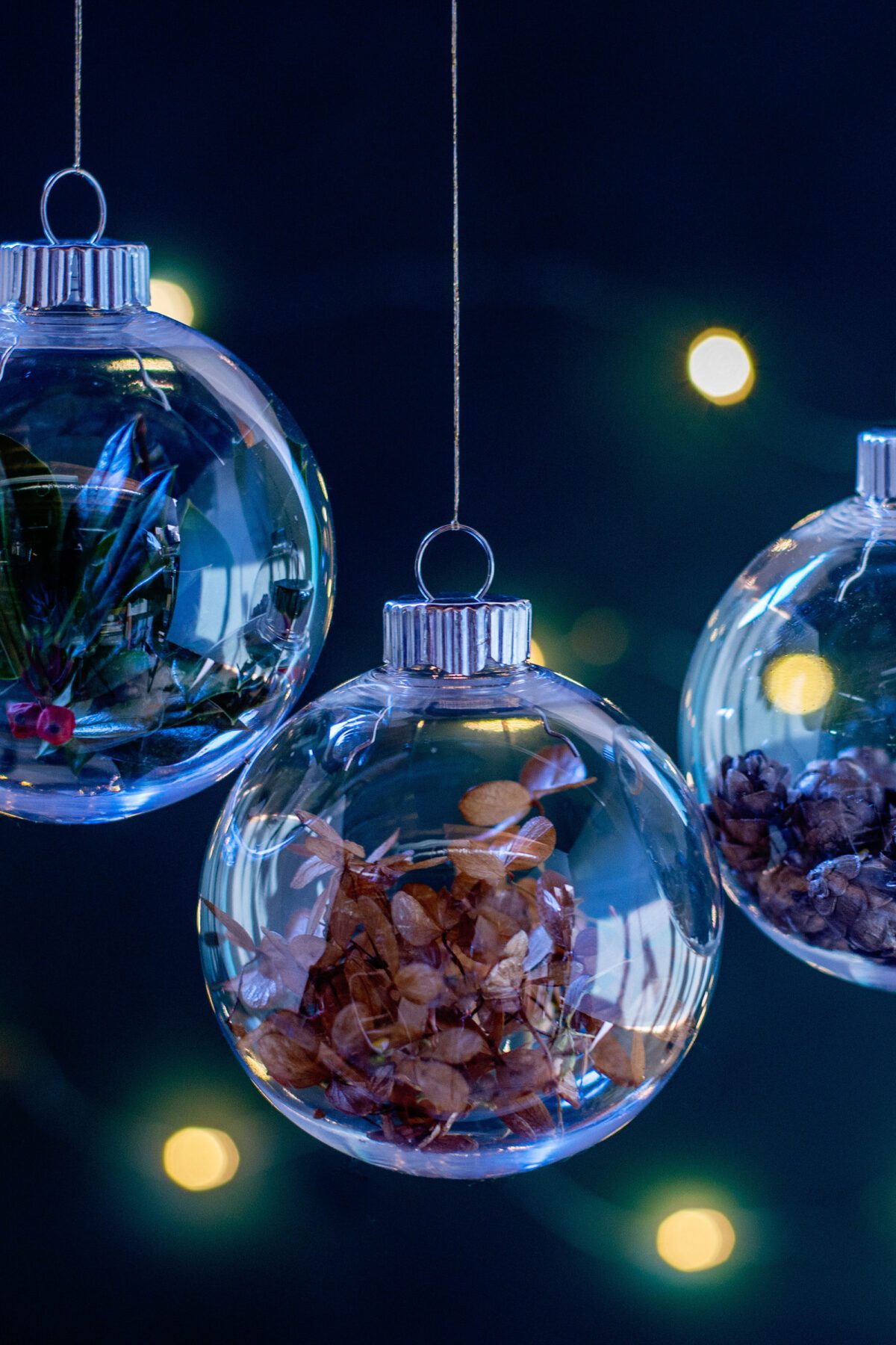 Three clear baubles filled with natural items against soft lights background.