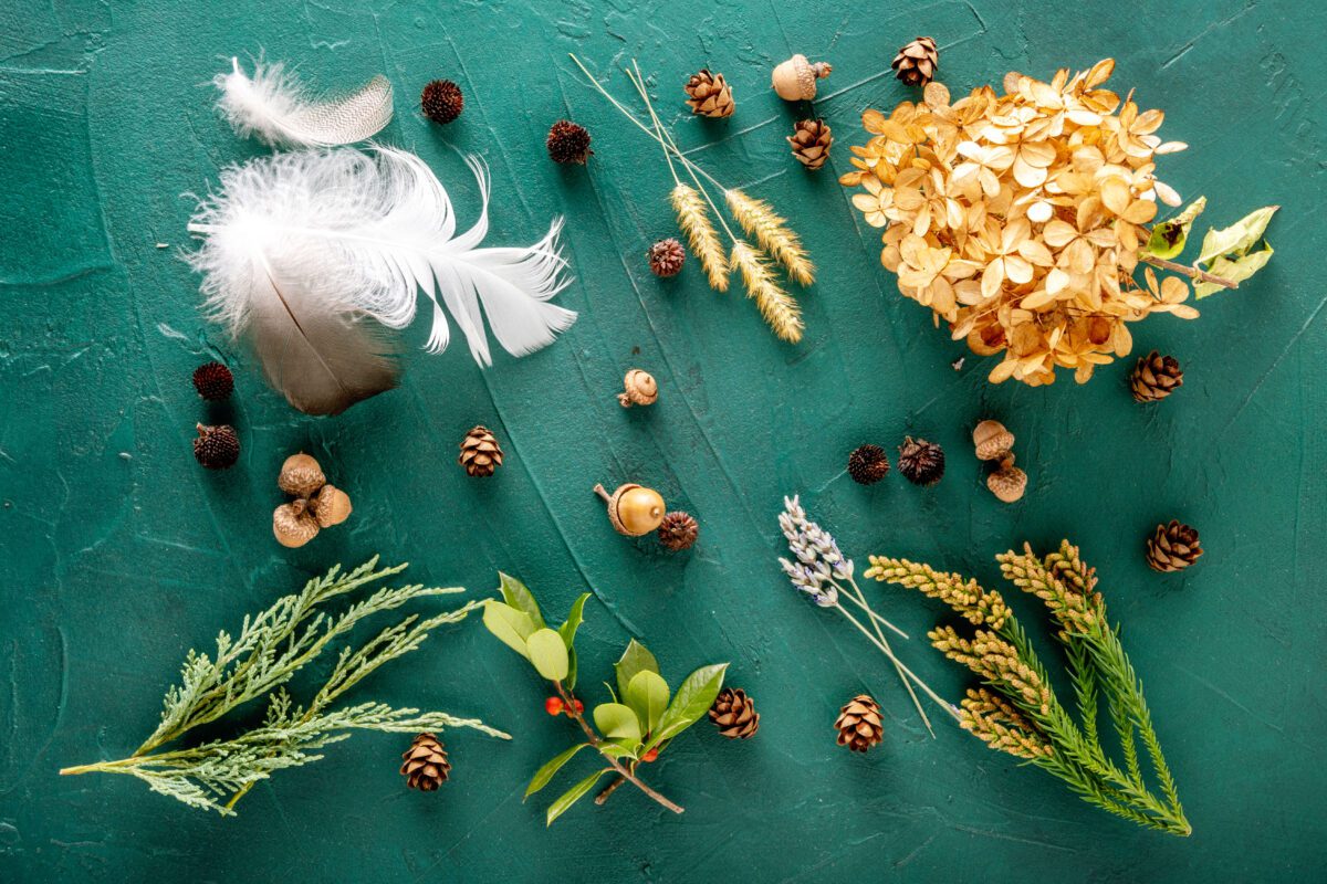 Various natural items like feathers, pinecones, and dried flowers arranged on a green surface.