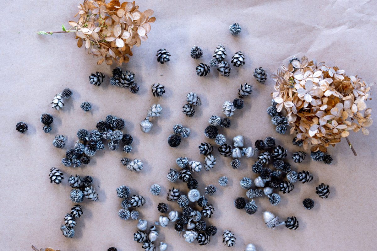 Dried flowers and pinecones scattered on paper with a coat of metallic paint.