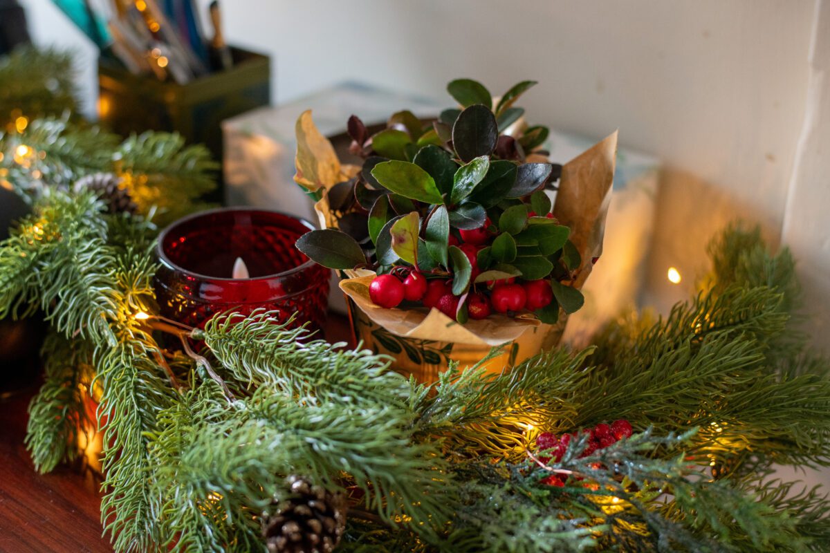 Pine garland and twinkle lights for Christmas. 