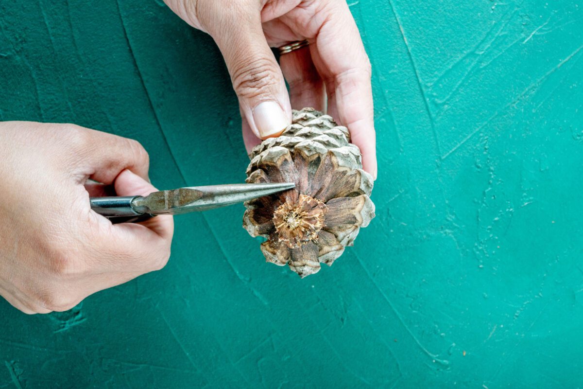 Hand using pliers to work on a pine cone over green surface.