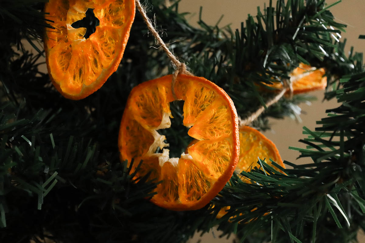 orange garland hanging on tree