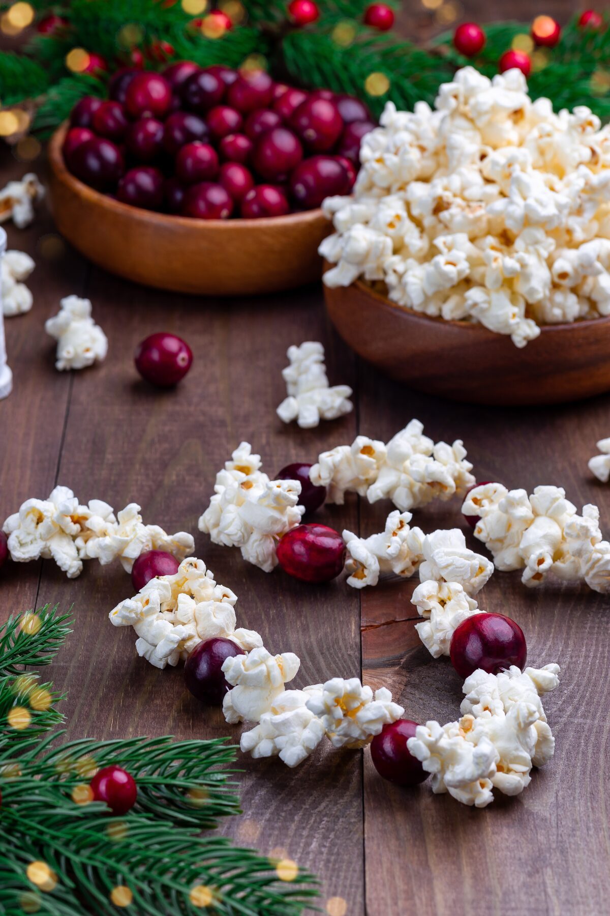 Popcorn garland with cranberries