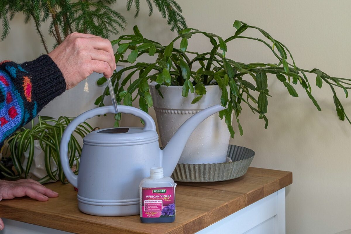 Woman's hand using dropper to add fertilizer to watering can
