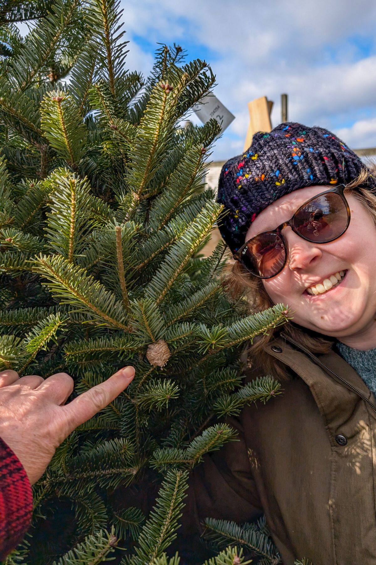 Woman holding up Christmas tree with a praying mantis egg sac in it.