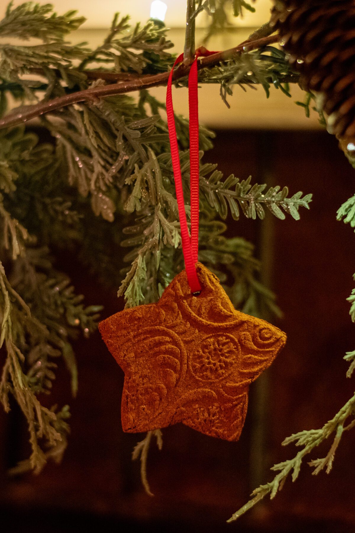 Finished cinnamon ornament hanging on garland.