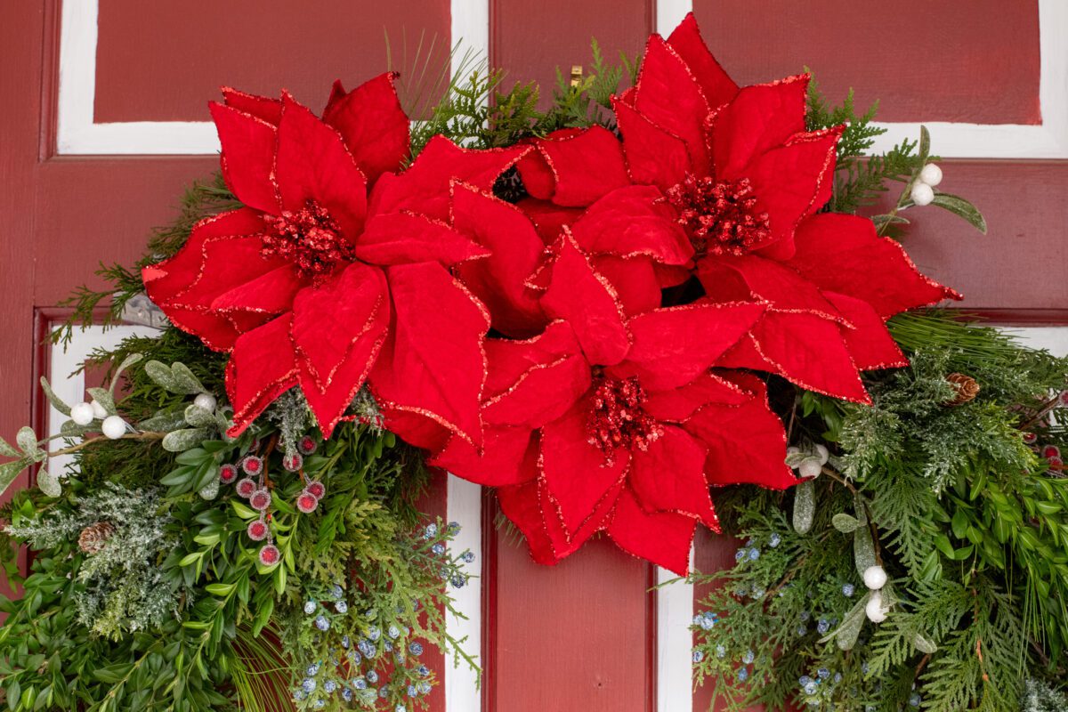 Close up of three fabric poinsettias