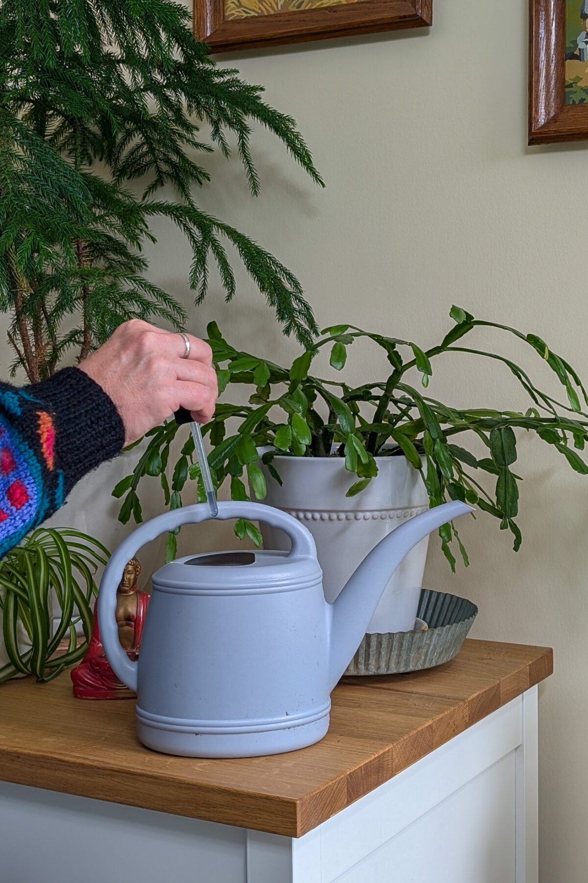 woman's hand using a dropper to add fertilizer to a watering can