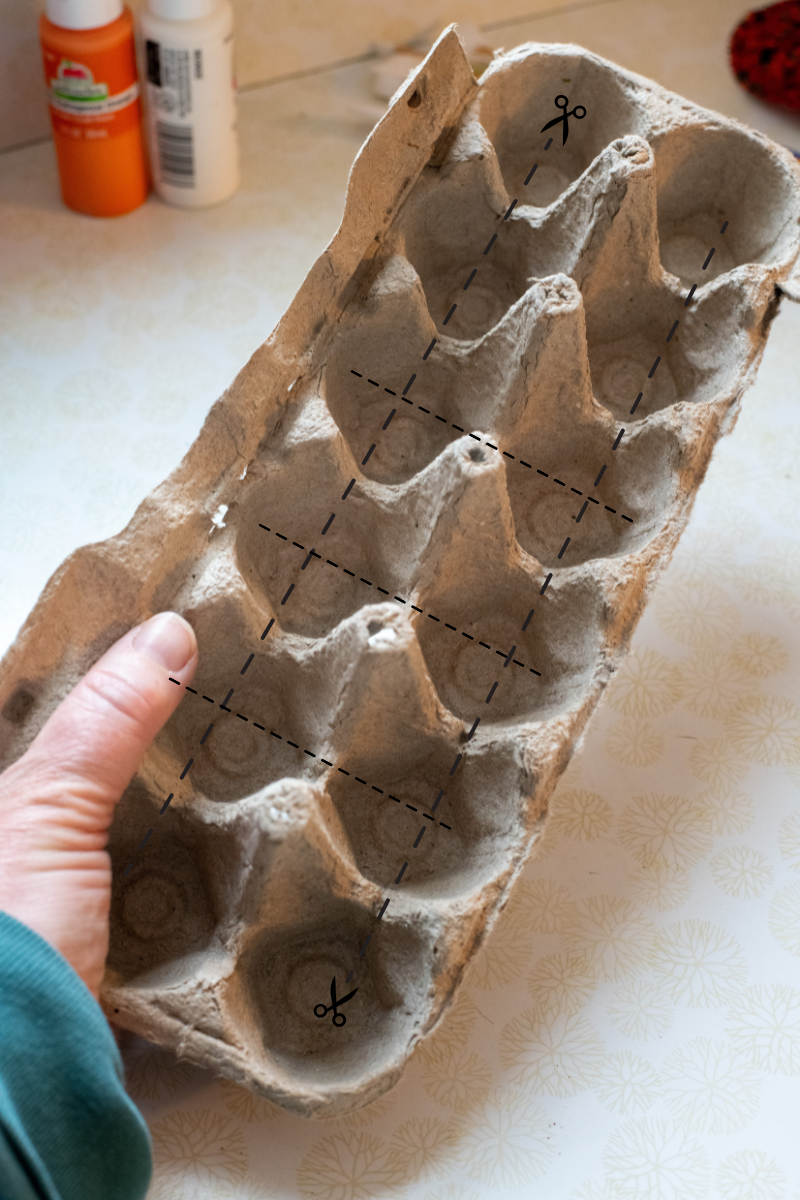 Cutting lines on a paper egg carton